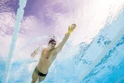 FINIS Forearm Fulcrum -Pool Wear 1.05.028 image usage senior 2